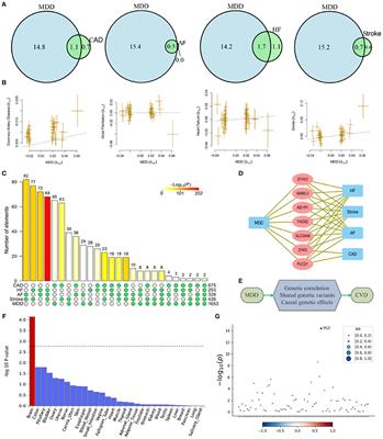 Shared Genetic Liability and Causal Associations Between Major Depressive Disorder and Cardiovascular Diseases